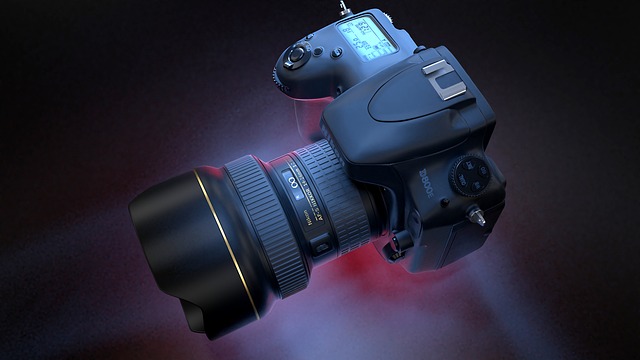 Belt - Image 3